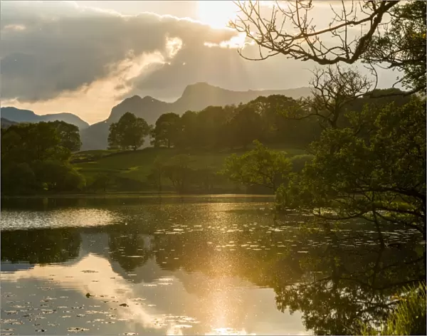 Sunset at Loughrigg Tarn near Ambleside, Lake District National Park, Cumbria, England