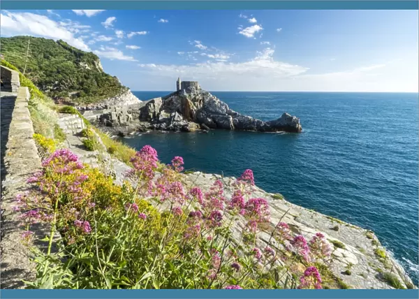 Flowers and blue sea frame the old castle and church on the promontory, Portovenere