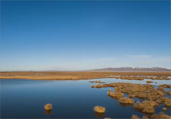 Huahu (Flower Lake), an important wetland area which supports a large array of biodiversity