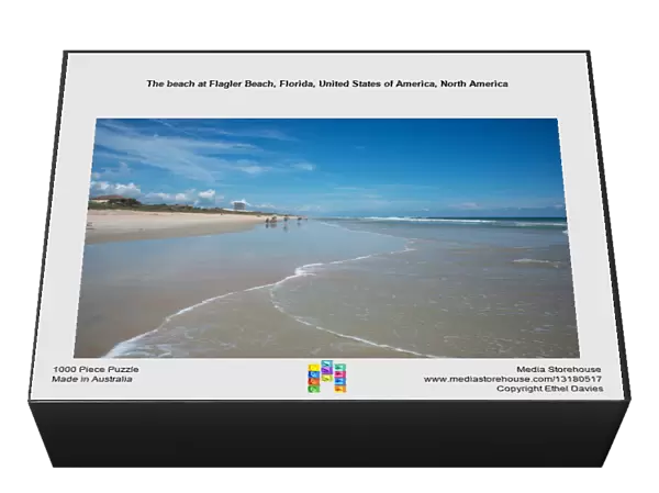 The beach at Flagler Beach, Florida, United States of America, North America