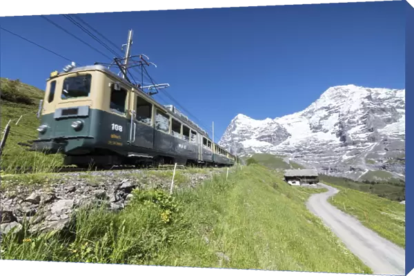 The Wengernalpbahn rack railway runs across meadows and snowy peaks, Wengen, Bernese Oberland
