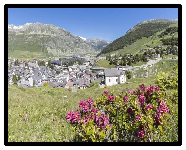 Rhododendrons frame the alpine village of Andermatt, surrounded by woods, Canton of Uri