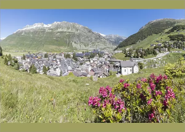 Rhododendrons frame the alpine village of Andermatt, surrounded by woods, Canton of Uri