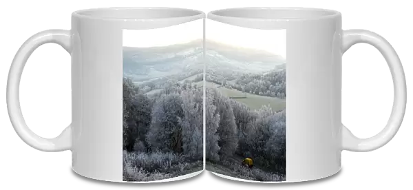 Frosty landscape, Powys, Wales, United Kingdom, Europe