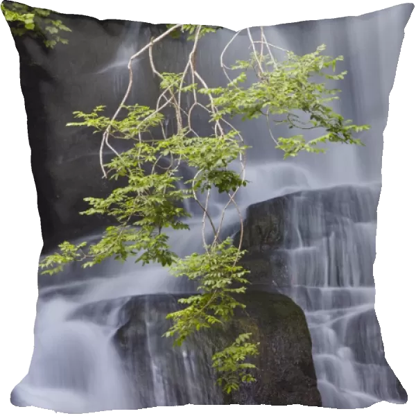 Torc Waterfall, Killarney National Park, near Killarney, County Kerry, Munster, Republic of Ireland