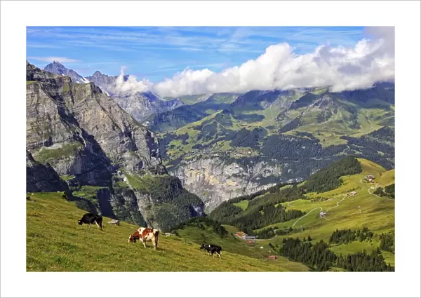 View from Kleine Scheidegg to Murren and Lauterbrunnen Valley, Grindelwald, Bernese Oberland