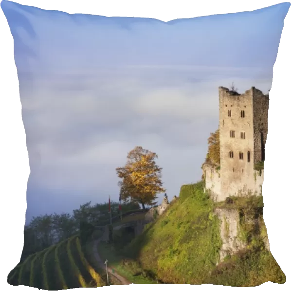 Schauenburg castle ruin, early morning fog, Oberkirch, Black Forest, Baden Wurttemberg