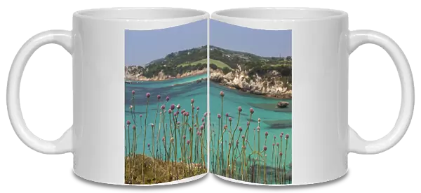Pink flowers of the inland frame the turquoise sea in summer, Sperone, Bonifacio