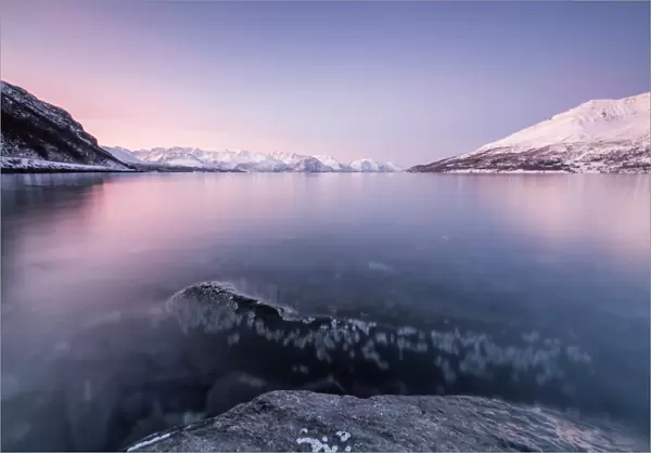 Pink sky and snowy peaks reflected in the frozen sea at sunset, Manndalen, Kafjord