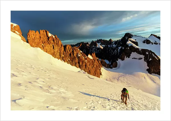Climber on a glacier, Barre des Ecrins, Ecrins National Park, French Dauphine Alps