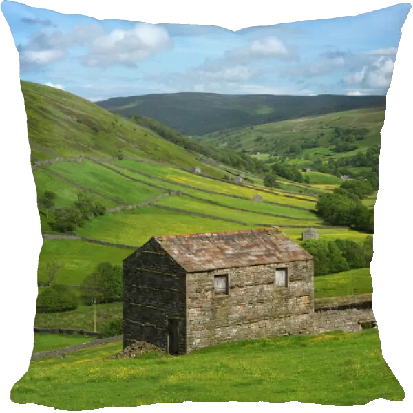 View over the Swaledale valley, near Thwaite, Yorkshire Dales National Park, Yorkshire