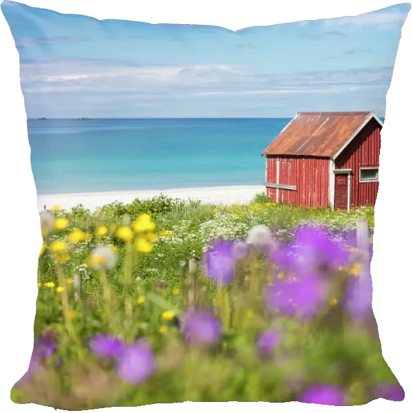 Colorful flowers on green meadows frame the typical rorbu surrounded by turquoise sea
