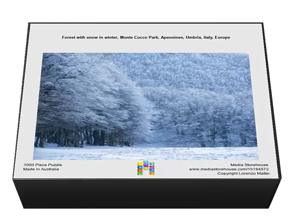 Forest with snow in winter, Monte Cucco Park, Apennines, Umbria, Italy, Europe