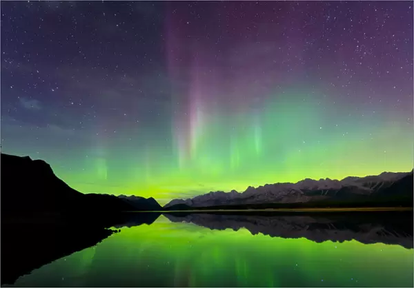 Aurora (Northern Lights) reflected in Lower Kananaskis Lake, Peter Laugheed Provincial Park
