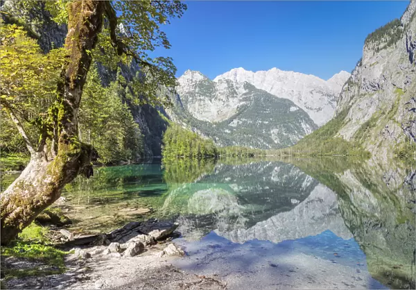 Watzmann Mountain reflecting in Lake Obersee, near lake Koenigssee, Berchtesgadener Land