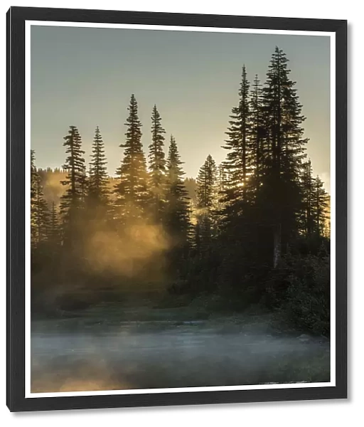 Morning sunlight and mist, Reflection Lake, Mount Rainier National Park, Washington State