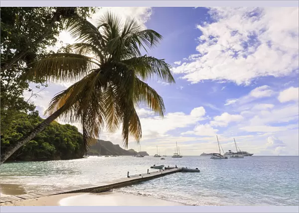 Quiet Caribbean, sea shore palm tree, boat jetty, beautiful Port Elizabeth, Admiralty Bay