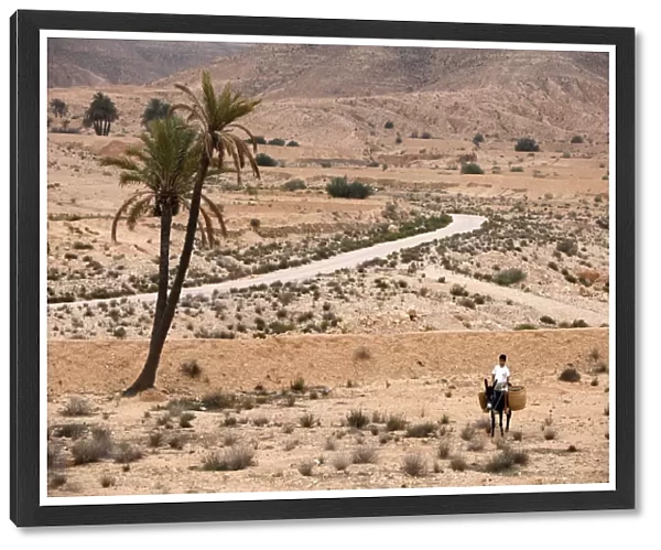 Boy on a donkey in a parched landscape, Gabes, Tunisia, North Africa, Africa