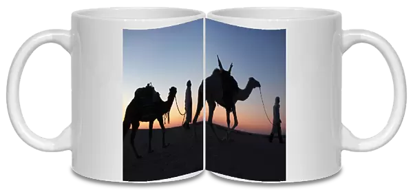 Camel drivers at dusk in the Sahara desert, near Douz, Kebili, Tunisia, North Africa