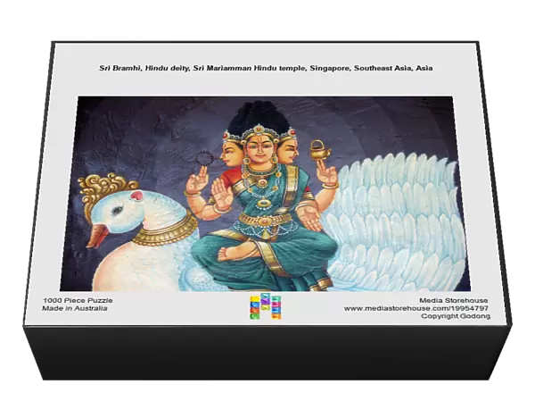 Sri Bramhi, Hindu deity, Sri Mariamman Hindu temple, Singapore, Southeast Asia, Asia