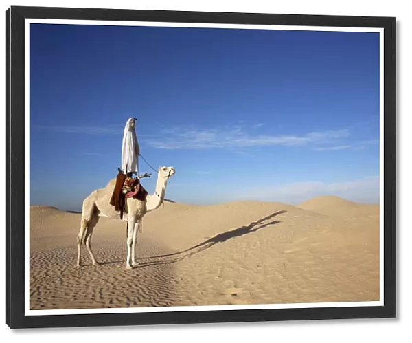 Dromedary rider in the Sahara, Douz, Kebili, Tunisia, North Africa, Africa