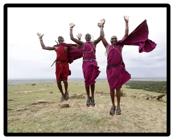 Masai warriors doing the traditional jump dance, Masai Mara Game Reserve, Kenya
