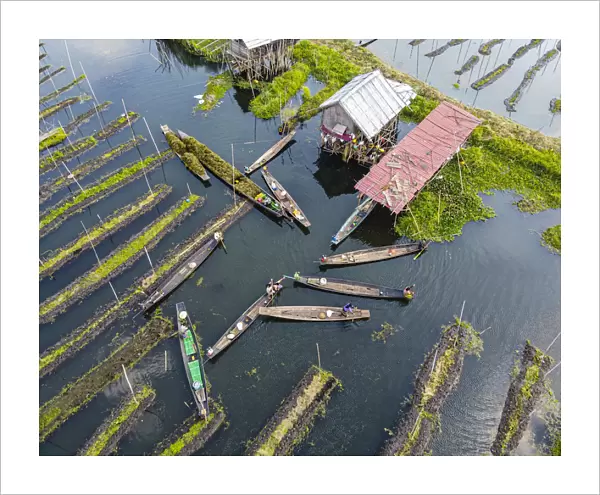 Aerial by drone of canoes in the floating gardens, Inle Lake, Shan state, Myanmar (Burma)