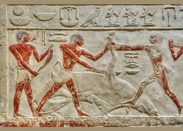 Reliefs, Mastaba of Idut, Step Pyramid Complex, UNESCO World Heritage Site