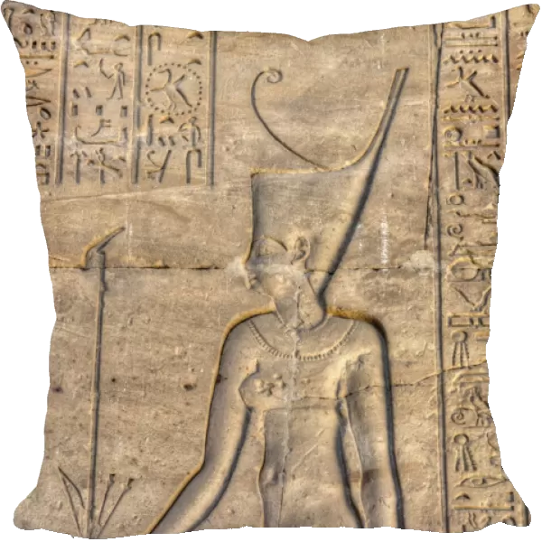 Pharaoh, Bas Relief, Hypostyle Hall, Temple of Khnum, Esna, Egypt, North Africa, Africa