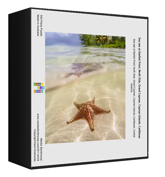 Sea star at Starfish Point, North Side, Grand Cayman, Cayman Islands, Caribbean