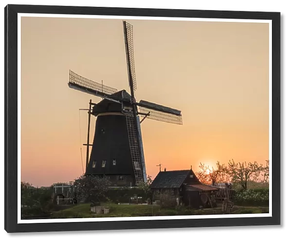 Windmill at sunset, Kinderdijk, UNESCO World Heritage Site, South Holland, Netherlands