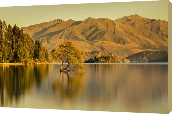 Lake Wanaka at sunrise, Mount-Aspiring National Park, UNESCO World Heritage Site, Otago
