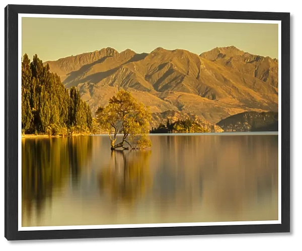 Lake Wanaka at sunrise, Mount-Aspiring National Park, UNESCO World Heritage Site, Otago