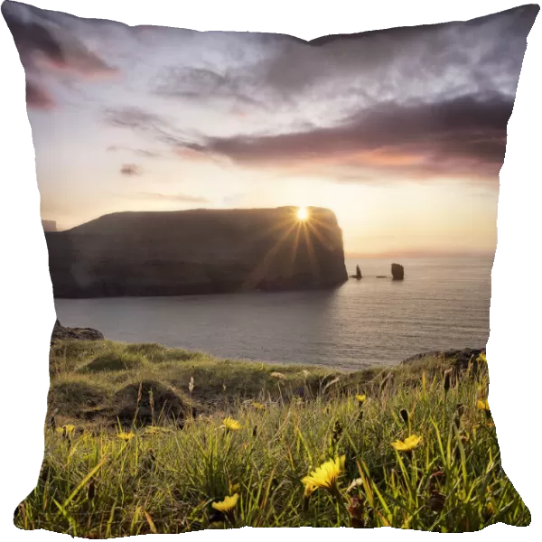 Sunset view on Rising og Kellingin sea stacks with yellow flowers in the foreground