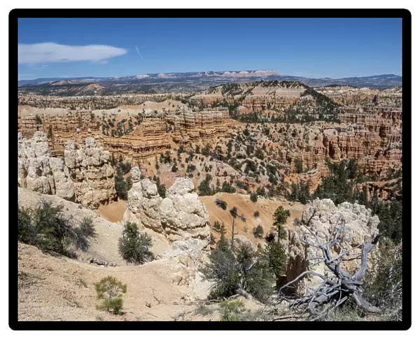 A view of the hoodoos from the Fairyland Trail in Bryce Canyon National Park, Utah