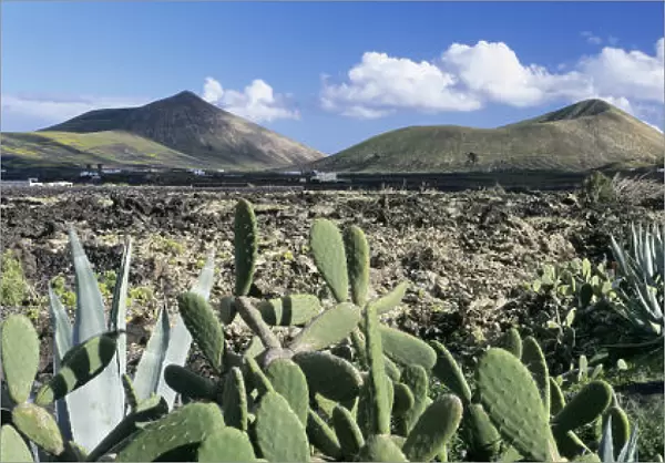 View over the volcanic landscape of Parque Natural de Los Volcanes, La Geria, Lanzarote
