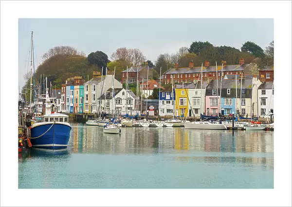 View of the colourful houses and fishing boats around the marina of the popular seaside village of Weymouth, Jurassic Coast, Dorset, England, United Kingdom, Europe