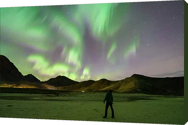 Photographer contemplating the Aurora Borealis (Northern Lights) in the starry sky from Haukland beach, Lofoten Islands, Nordland, Norway, Scandinavia, Europe