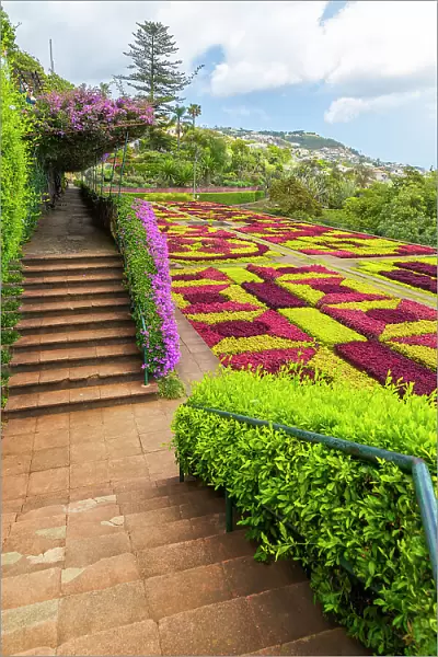 Madeira Botanical Garden, Funchal, Madeira, Portugal, Atlantic, Europe