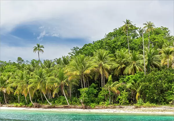 White sandy beaches and coconut trees on Batu Hatrim, Raja Ampat, Indonesia, Southeast Asia, Asia