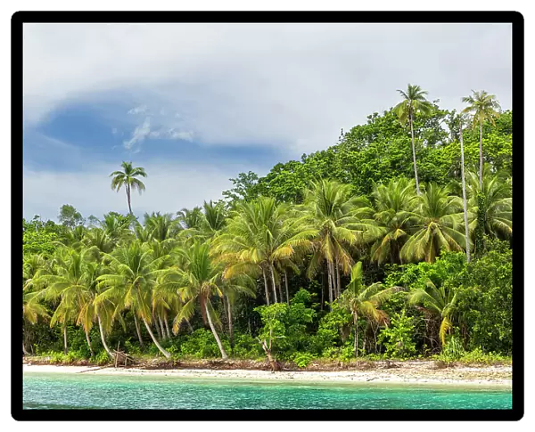 White sandy beaches and coconut trees on Batu Hatrim, Raja Ampat, Indonesia, Southeast Asia, Asia