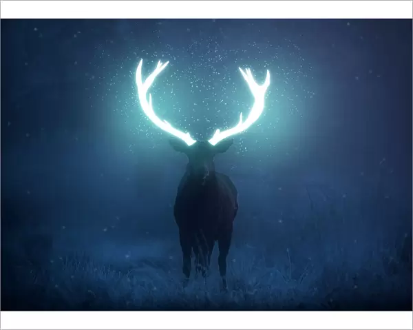 A mystical red deer stag stands his ground