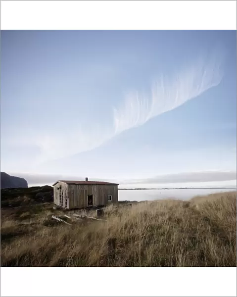 Derelict barn on coast, Lofoten Islands, Norway, Scandinavia, Europe