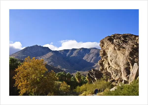 Andreas Canyon, Palm Springs, California, United States of America, North America