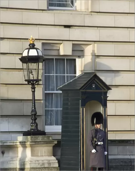 Guardsman, Buckingham Palace, London, England, United Kingdom, Europe