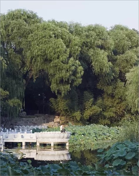 Man fishing at Zizhuyuan Black Bamboo Park, Beijing, China, Asia