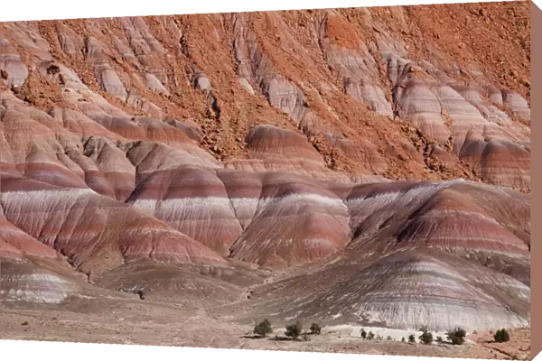 Rock strata in cliffs in Paria River Valley, Grand Staircase-Escalante National Monument