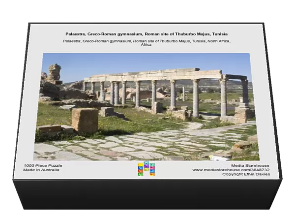 Palaestra, Greco-Roman gymnasium, Roman site of Thuburbo Majus, Tunisia