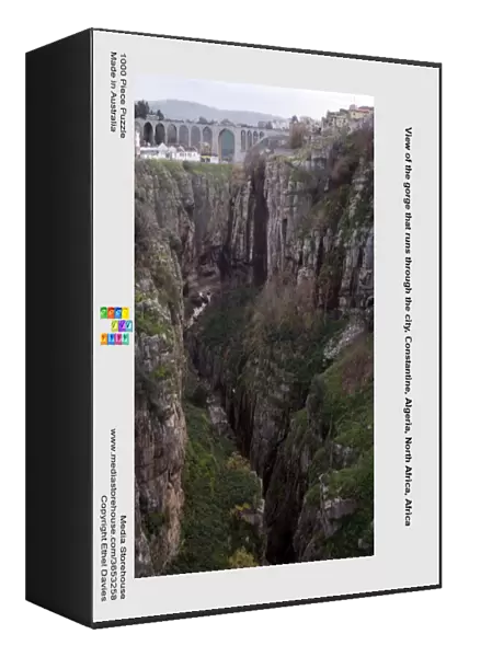 View of the gorge that runs through the city, Constantine, Algeria, North Africa, Africa