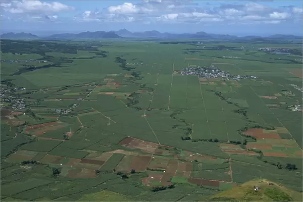 Sugar cane fields from Le Puce peak, Port Louis, Mauritius, Africa